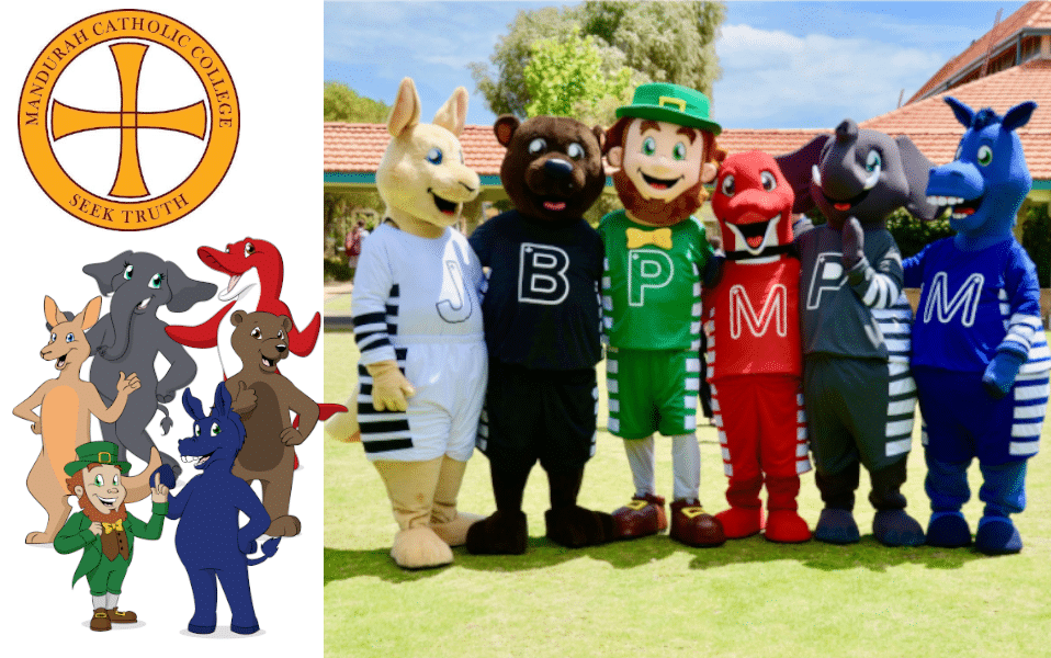 Custom Mascots – Mandurah College – by Promo Bears Group of six colorful school mascots standing on a field, each representing a different school house at Mandurah Catholic College.