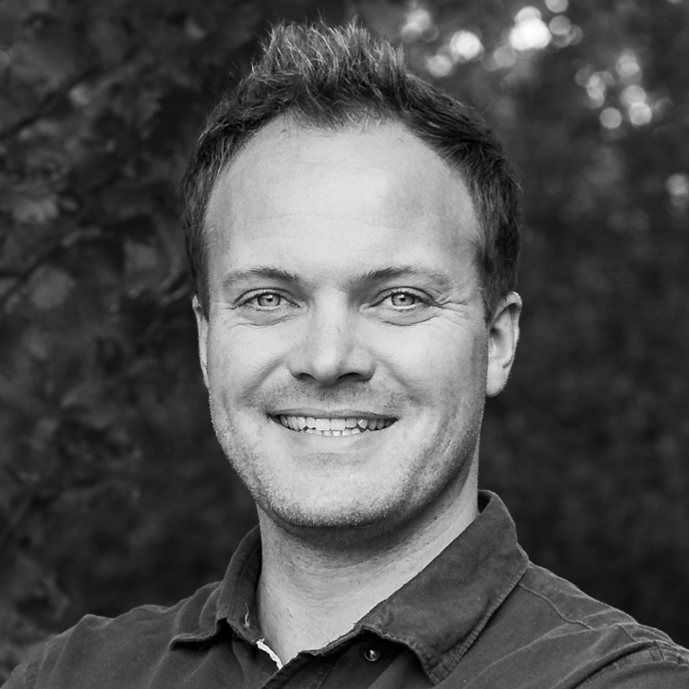 PromoBears-Andre_Dietz