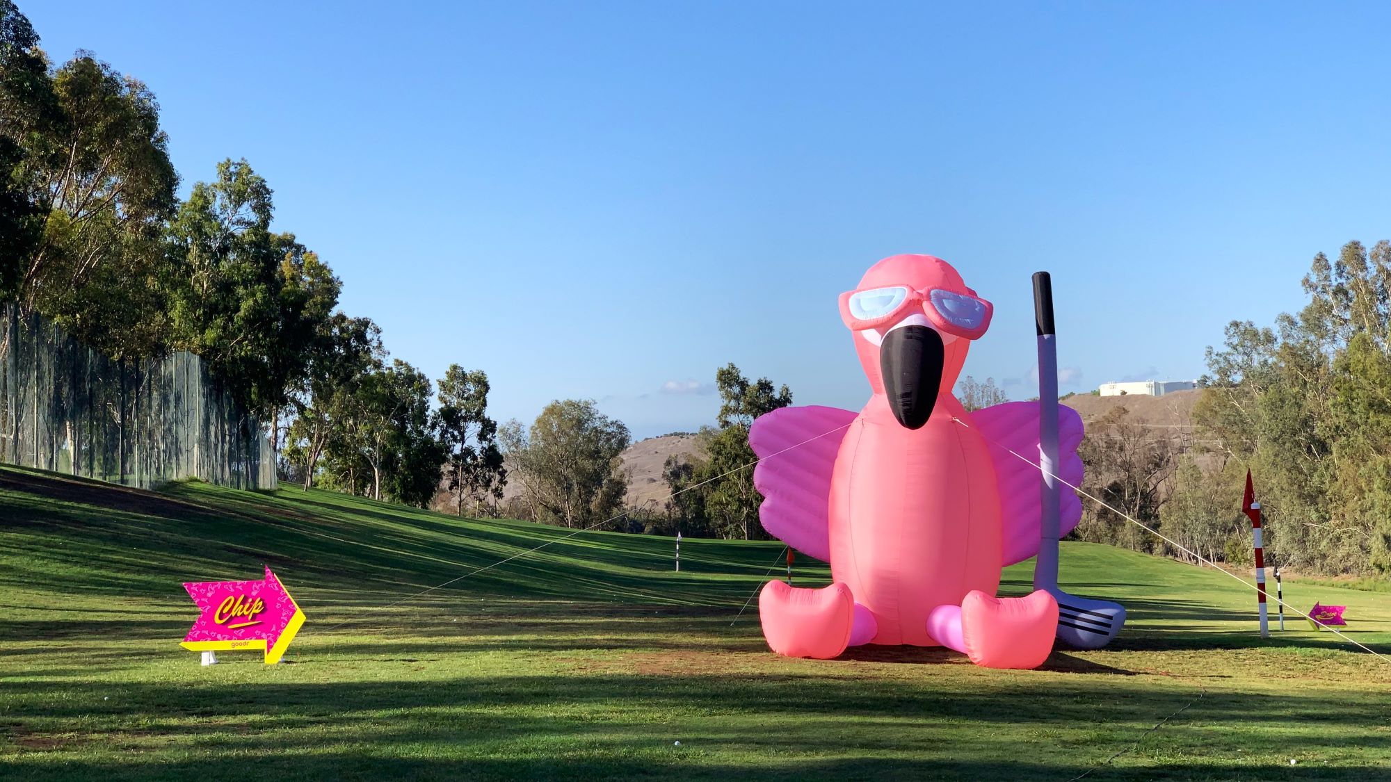 Experiential-Supply-Co.-20-Ft-Tall-Custom-Inflatable-Flamingo Custom inflatables in any shape