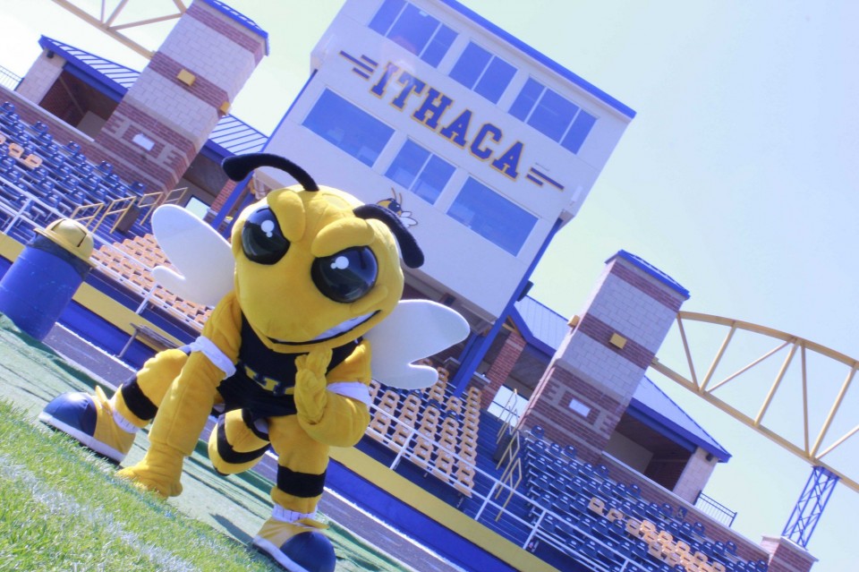 Ithaca-High-School-Yellow-Jacket Individuelles Wespen-Maskottchen Kostüm auf einem Sportplatz.
