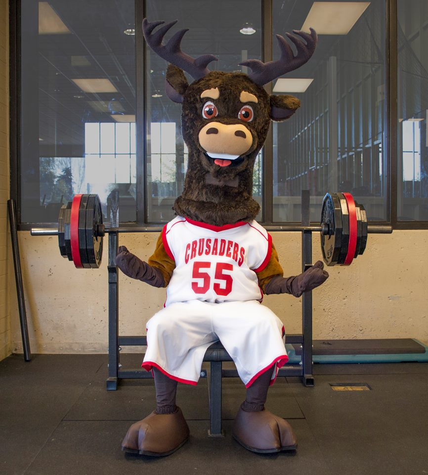 Northwest Nazarene University – Howard the Elk Mascot Elchmaskottchen für Universität in outfit des Uni-Sportteams