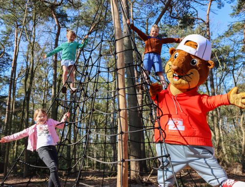 Markenmaskottchen: Erfolgreiches Branding mit Promo Bears