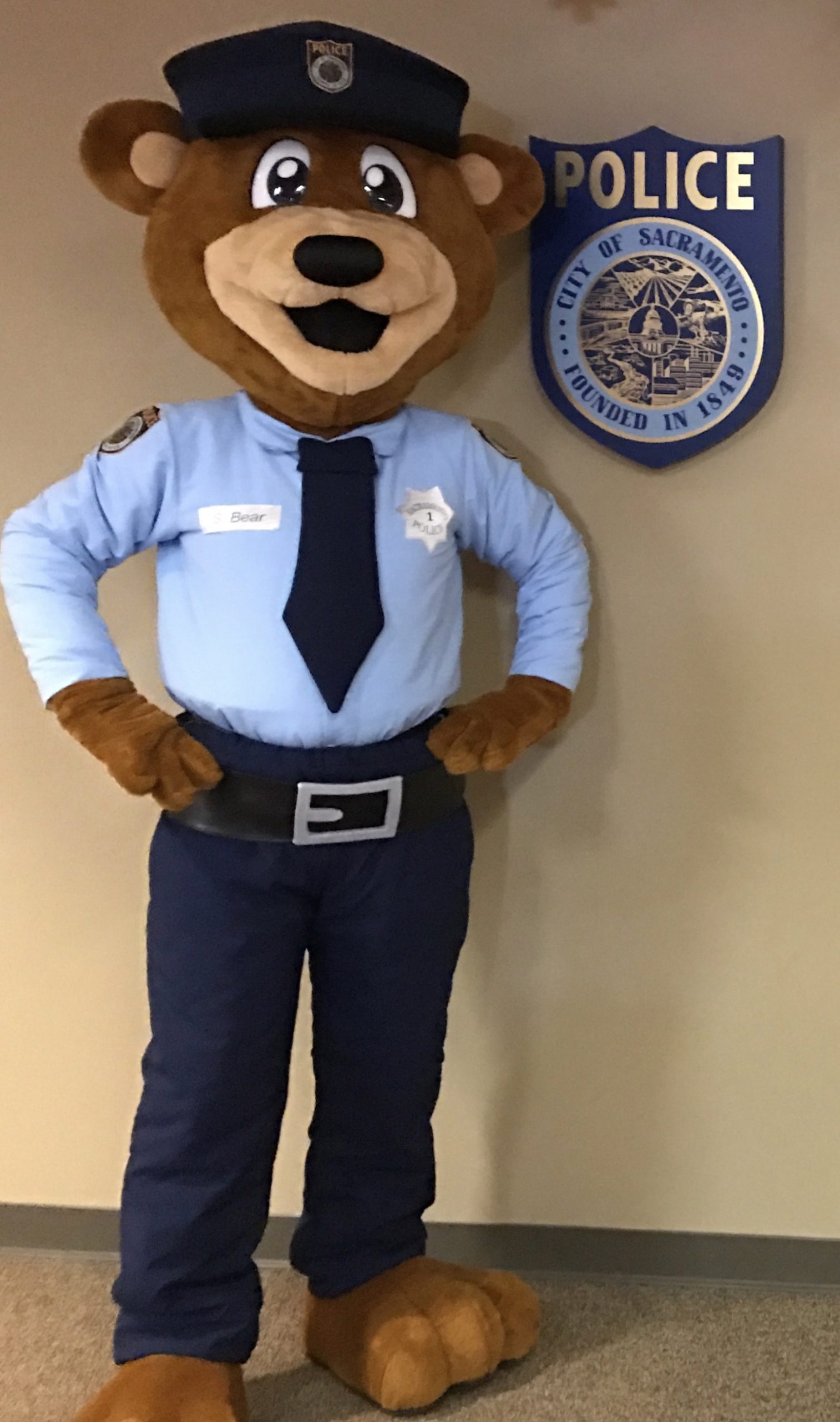Maskottchen Polizeibär