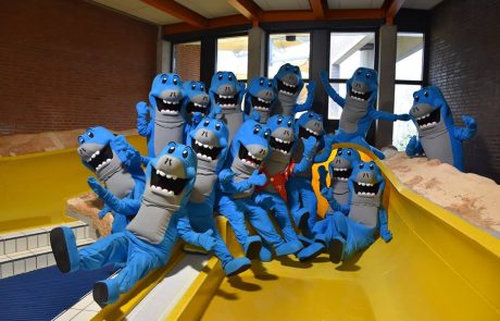 Zed – Optisport – Großbestellung Maskottchen Gruppenfoto mit vielen, gleichen Hai-Maskottchen, Serienproduziert durch Promo Bears