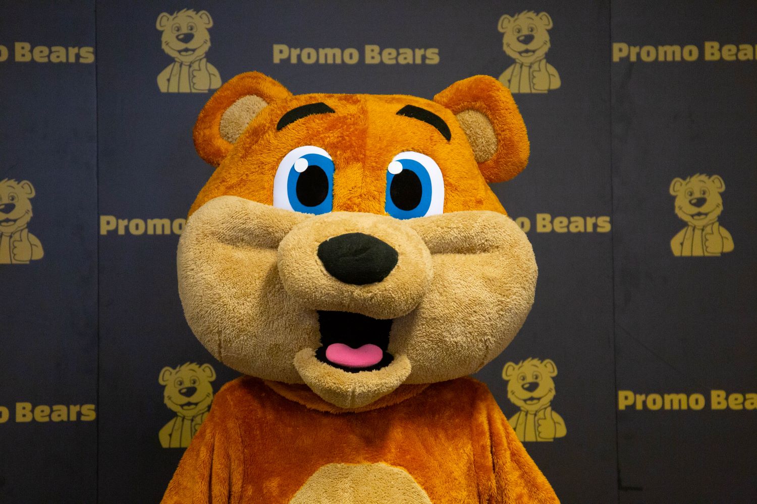 StockMascot_Bear_Closeup
