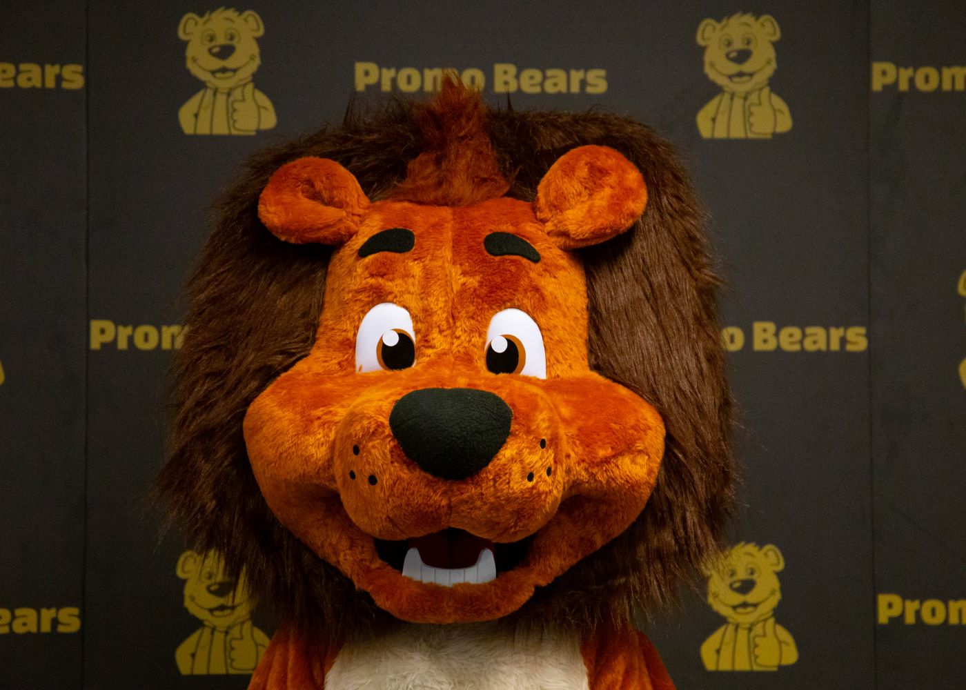 StockMascot_BrownLion_Closeup