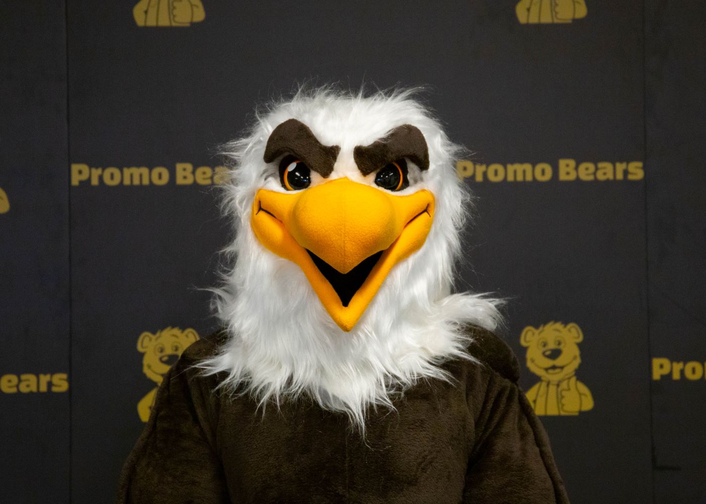 Adler Maskottchen zum sofort bestellen Professionelles Adlermaskottchen auf Lager. Kann mit kurzer Lieferzeit bestellt werden