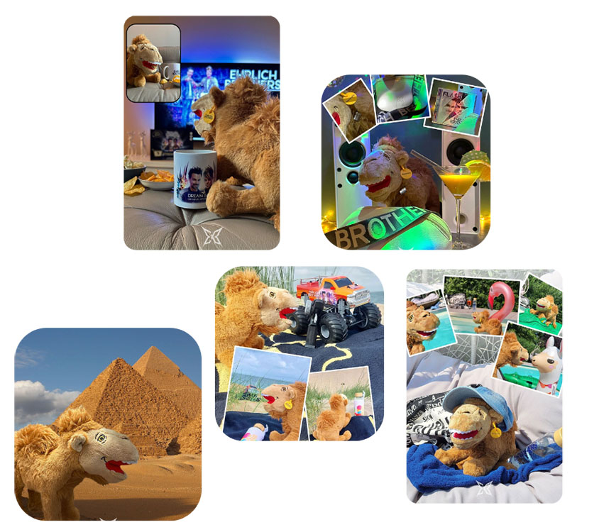 Ehrlich Brothers Kuscheltier Bilder Ehrlich Brothers Plüschtier Alexandrio Hergestellt Von Promo Bears