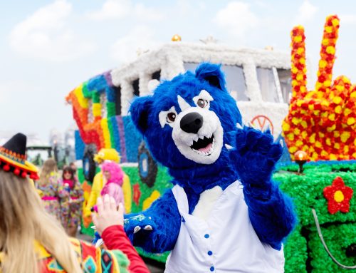 Wie viel kostet ein maßgeschneidertes Maskottchen?
