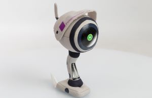 CameraIndepender_PromoBears (2)-2