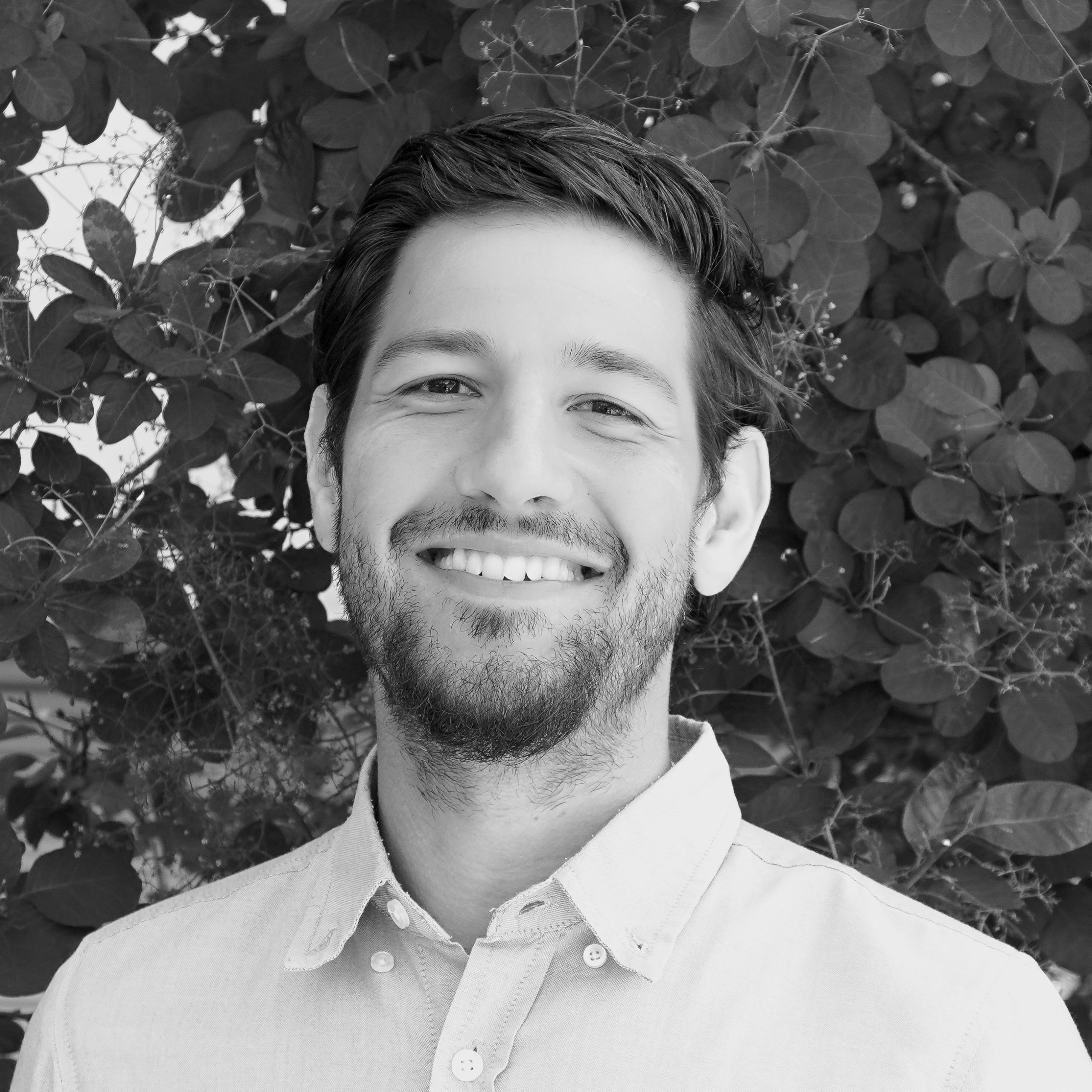 Project Manager Darius